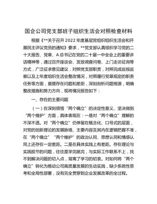 国企公司党支部班子组织生活会对照检查4400字（含国之大者版本）