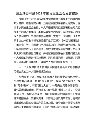 国企公司2022年度民主生活会个人发言（上年度整改情况可参考）