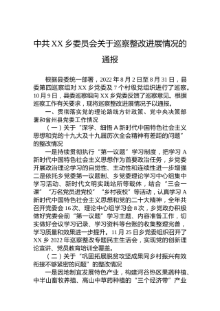 乡委员会关于巡察整改进展情况的通报 (20230328)