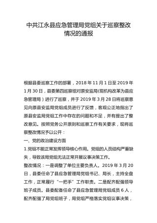 县应急管理局党组关于巡察整改情况的通报