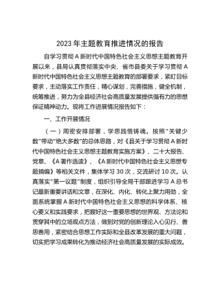 主题教育推进情况总结报告1700字