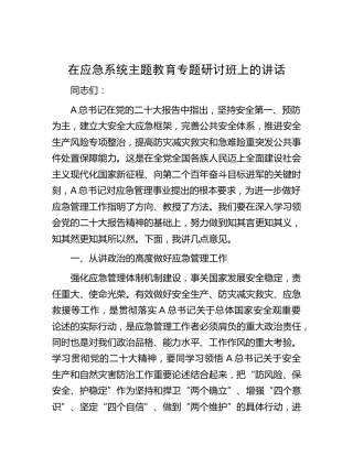 在应急系统主题教育专题研讨班上的讲话