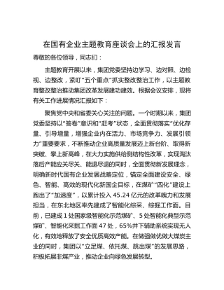 在国企主题教育座谈会上的汇报发言（公司2800字总结）