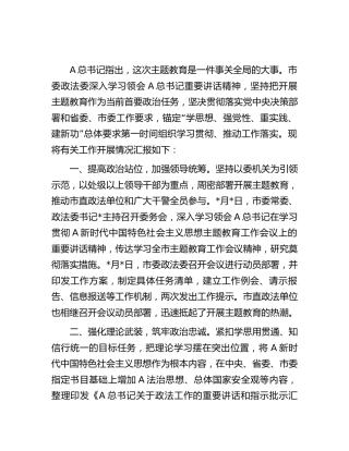 政法委主题教育开展情况汇报