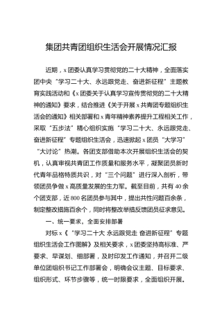 公司共青团2022年组织生活会开展情况汇报