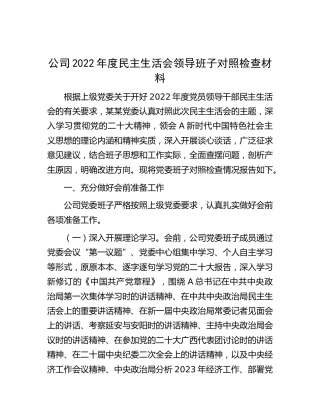 公司班子2022年度民主生活会对照检查（7900字，含会前准备情况）