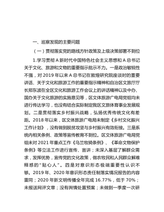 巡察组巡察反馈意见5300字
