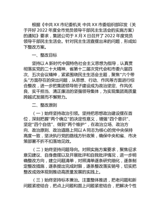 公司2022年度民主生活会整改工作方案6500字