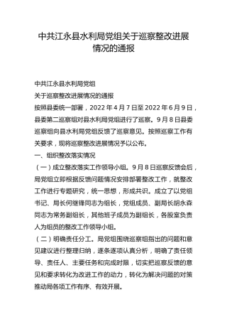 县水利局党组关于巡察整改进展情况的通报