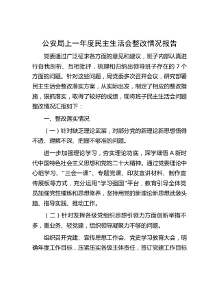 公安系统上一年度民主生活会整改情况报告