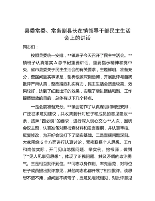 副县长在乡镇领导干部民主生活会上的讲话