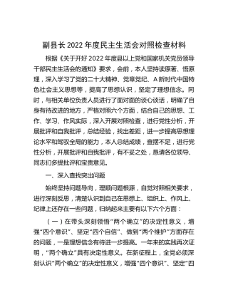 副县长2022年度民主生活会对照检查5100字