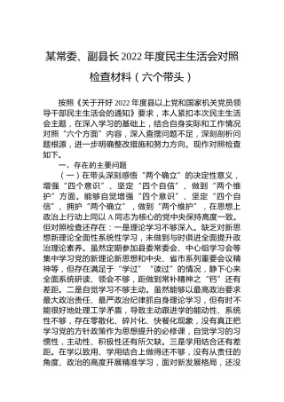 副县长2022年度民主生活会对照检查3600字