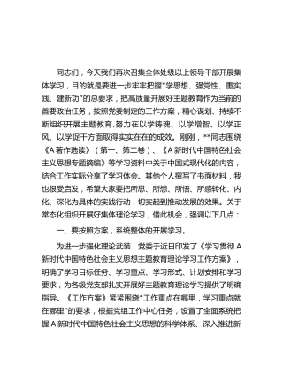 中心组主题教育集体理论学习发言