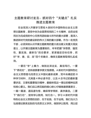 主题教育研讨发言：抓好四个“关键点” 扎实推进主题教育