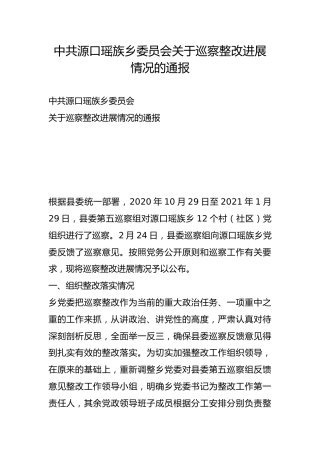 源口瑶族乡委员会关于巡察整改进展情况的通报