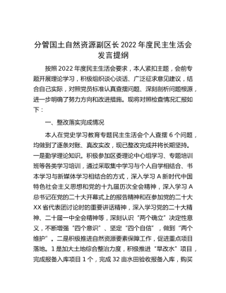 分管国土自然资源副区长2022年度民主生活会发言