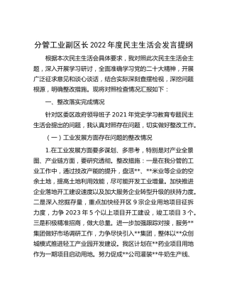 分管工业副区长2022年度民主生活会发言