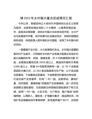 乡镇2023年乡村振兴重点完成情况总结汇报