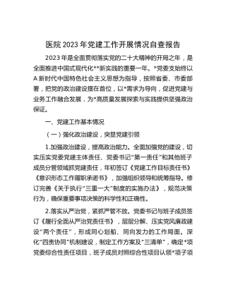 医院2023年党建工作开展情况自查报告（2700字总结）