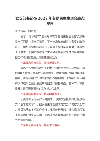党支部书记在2022年专题民主生活会表态发言 (3)
