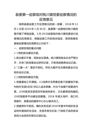 巡察组对桃川镇党委巡察情况的反馈意见