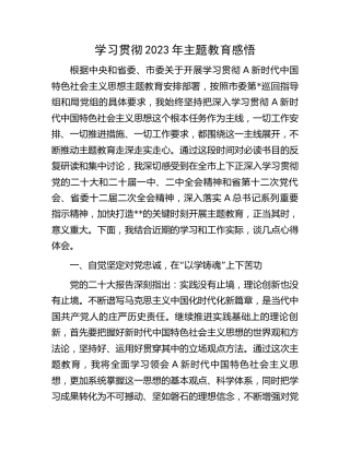 学习贯彻2023年主题教育感悟2500字