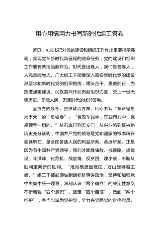 用心用情用力书写新时代组工答卷