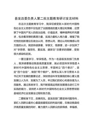 县发改委领导主题教育研讨发言材料