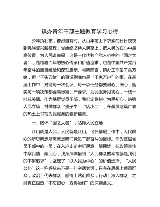 镇办青年干部主题教育学习心得