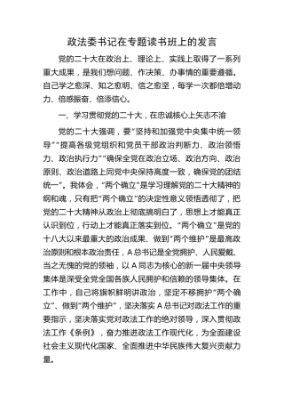 政法委书记在二十大专题读书班上的研讨发言
