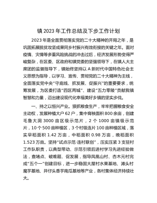 乡镇2023年工作总结及下步工作计划