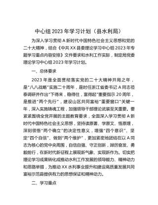 中心组2023年学习计划（水利3300字）