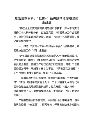 政协政治督查经验总结：“党建+”品牌赋动能履职增效谱新篇