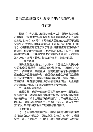 县应急管理局安全生产监督执法工作计划