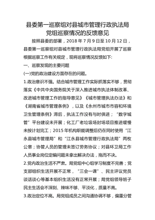 巡察组对县城市管理行政执法局巡察情况的反馈意见