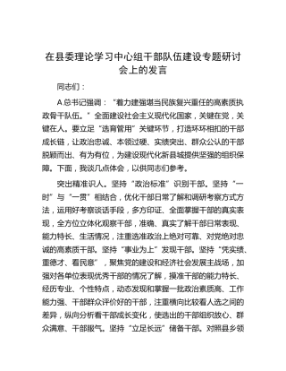 在县委中心组干部队伍建设专题研讨会上的发言