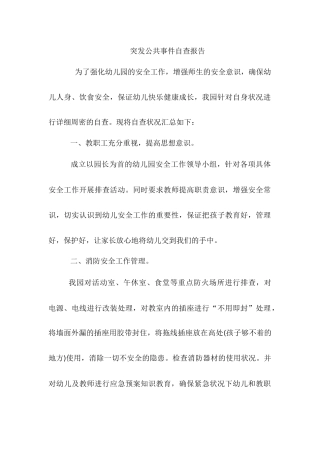 幼儿园突发公共事件自查报告