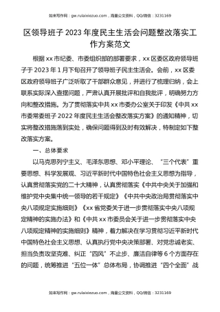 【生活会整改方案】区领导班子2023年度民主生活会问题整改落实工作方案范文（实施方案，2022年度，2023年初）