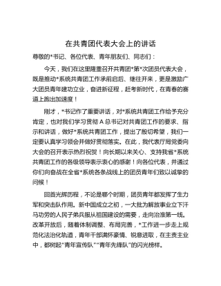 在共青团代表大会上的讲话4100字
