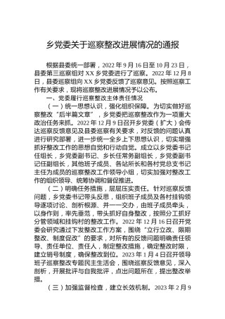 乡党委关于巡察整改进展情况的通报(20230330)