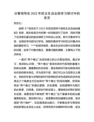 2022年生活会前学习研讨发言3600字
