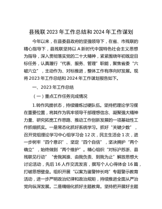 县残联2023年工作总结
