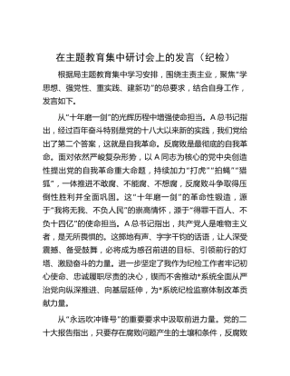 在主题教育集中研讨会上的发言（纪检1200字）
