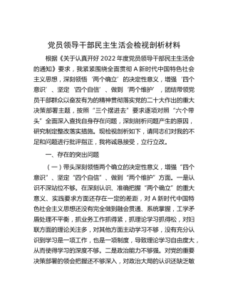2022年民主生活会个人检视剖析材料（六个带头）4100字