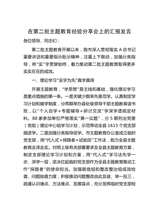 在第二批主题教育经验分享会上的汇报发言（市2100字）