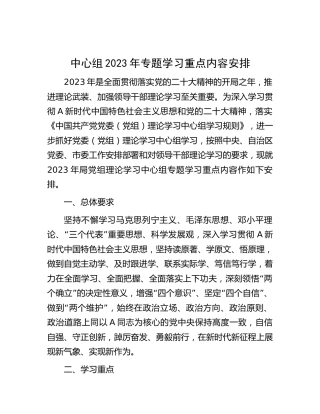 中心组2023年专题学习重点内容安排（计划6100字）