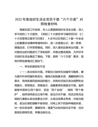 2022年度组织生活会个人对照检查4100字