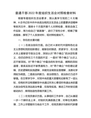 2022年度组织生活会个人对照检查（含意见建议）