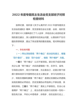 2022年度专题民主生活会党支部班子对照检查材料 (2)